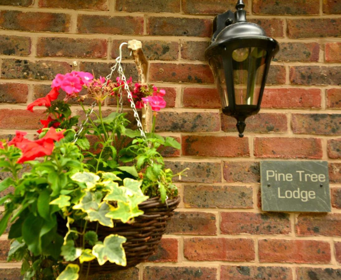 Pine Tree Lodge, ブリッジノース エクステリア 写真